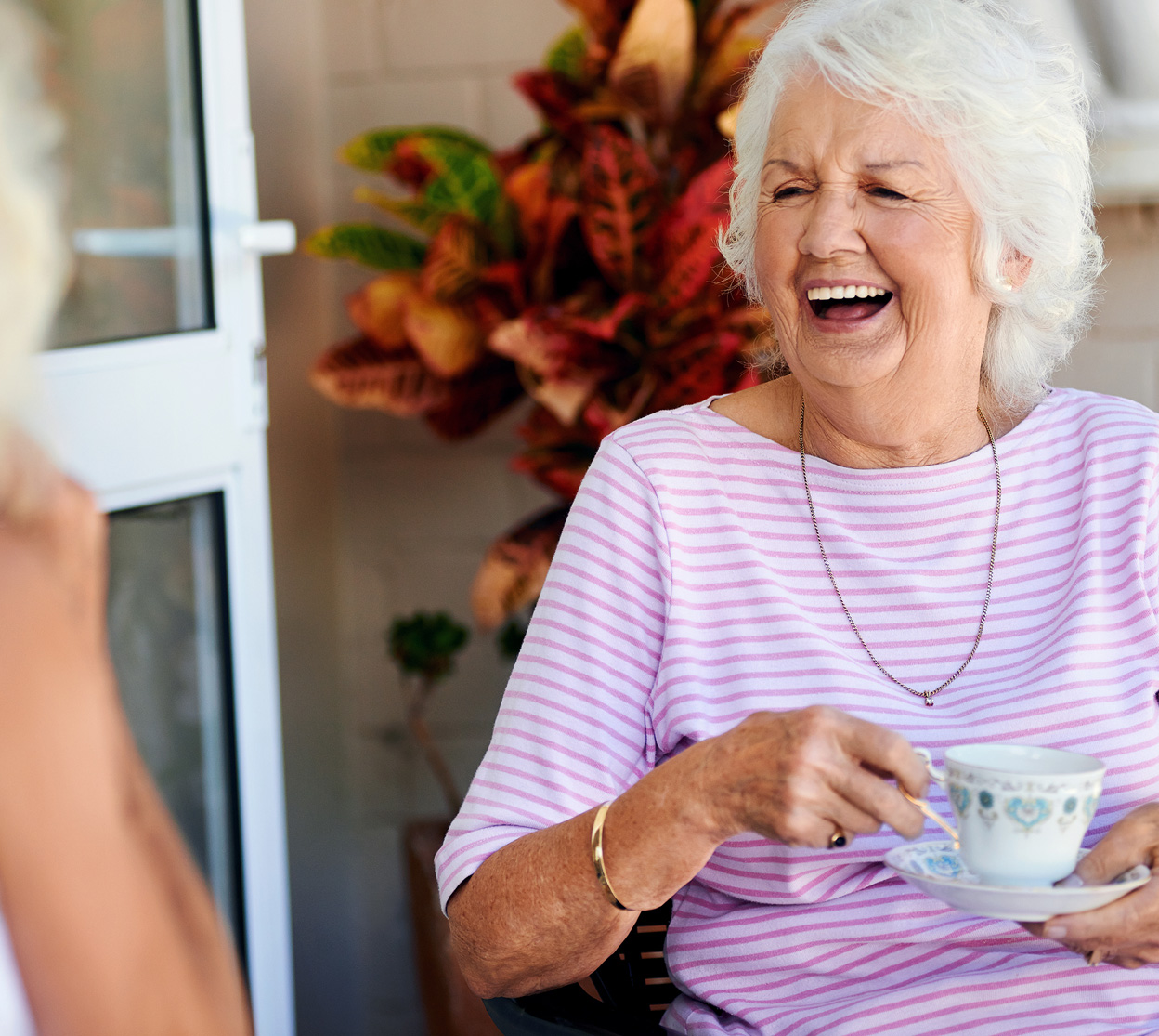 Older People and Housing